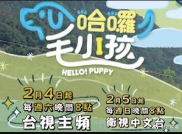 哈啰！毛小孩(全集)