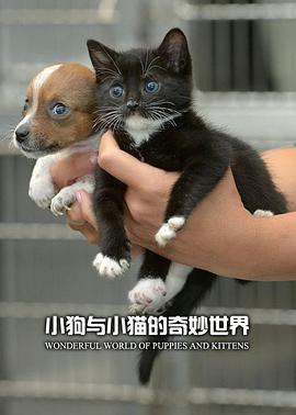 小狗與小貓的奇妙世界(全集)
