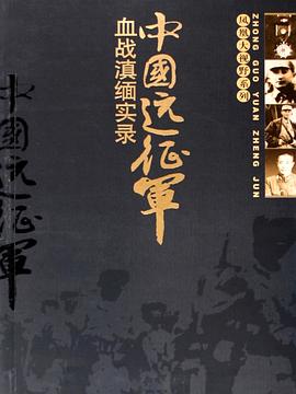 中國遠征軍(全集)