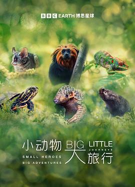 小動物大旅行第一季(全集)