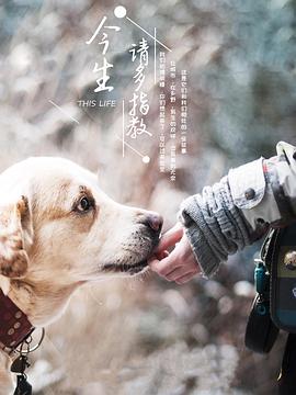 今生，請多指教第三季(全集)